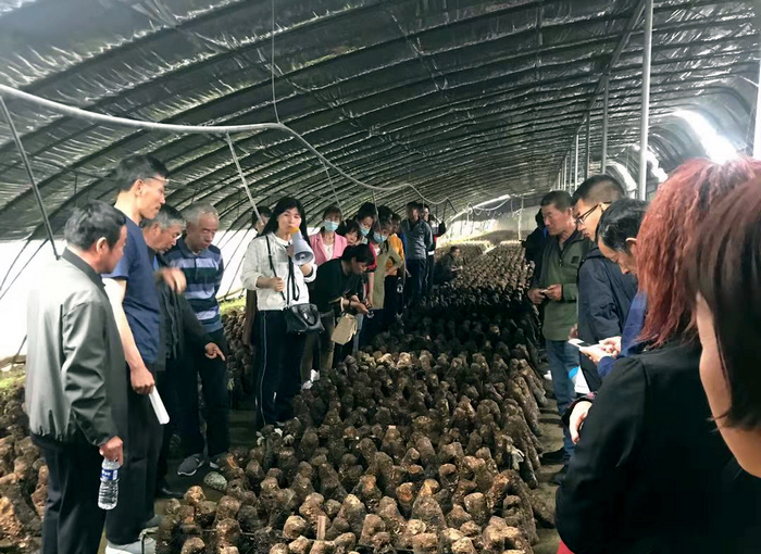 李经理报道3_编辑.jpg 李经理报道3_编辑.jpg